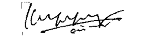 e-signature